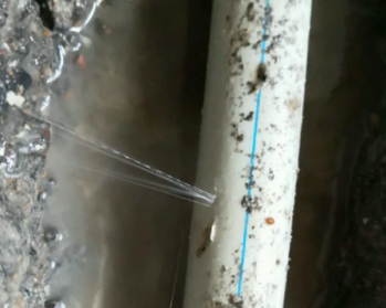 康平卫生间测漏水多少钱
